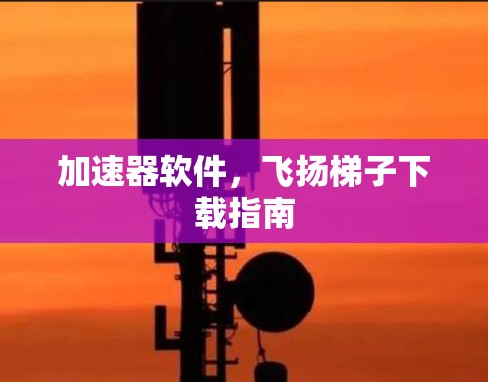 加速器软件,飞扬梯子下载指南 加速器软件,飞扬梯子下载指南
