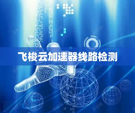 飞梭云加速器线路检测