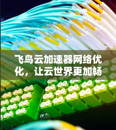 飞鸟云加速器网络优化，让云世界更加畅快