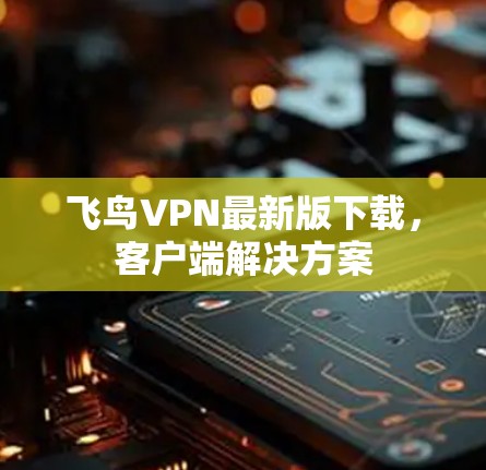 飞鸟VPN最新版下载,客户端解决方案 飞鸟VPN最新版下载,客户端解决方案