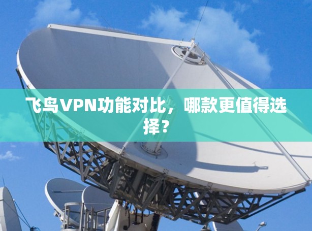 飞鸟VPN功能对比,哪款更值得选择? 飞鸟VPN功能对比,哪款更值得选择?