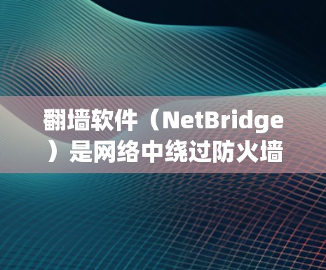 翻墙软件（NetBridge）是网络中绕过防火墙或防火墙无法阻挡的网络工具，满足了不同用户的需求。以下是对翻墙软件的详细体验分享