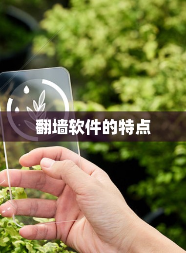 翻墙软件的特点