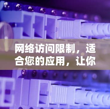 网络访问限制,适合您的应用,让你的网络访问更安心